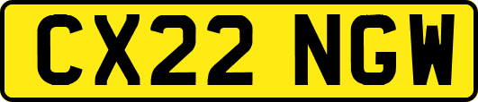 CX22NGW