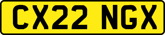 CX22NGX