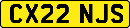 CX22NJS