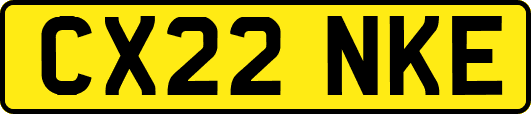 CX22NKE