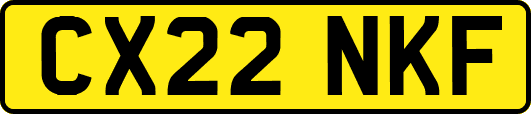 CX22NKF