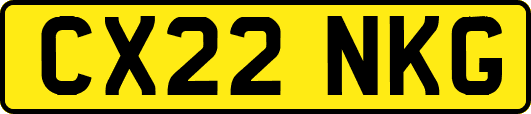 CX22NKG
