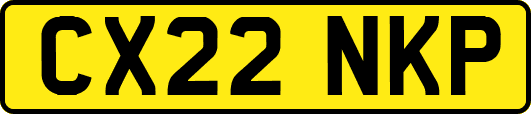 CX22NKP