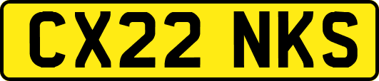 CX22NKS