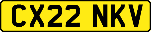 CX22NKV
