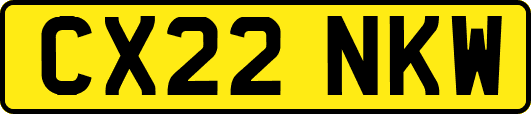 CX22NKW