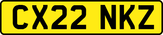 CX22NKZ