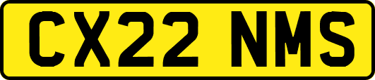 CX22NMS