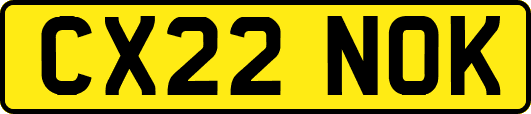 CX22NOK