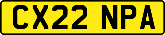CX22NPA