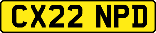 CX22NPD