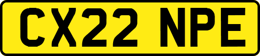 CX22NPE