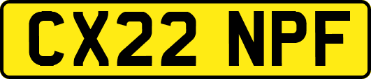 CX22NPF
