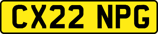 CX22NPG