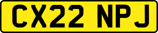 CX22NPJ