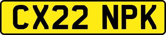 CX22NPK