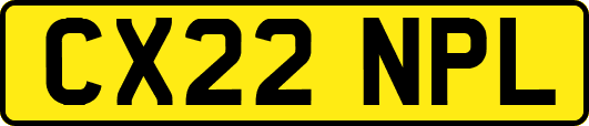 CX22NPL