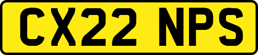 CX22NPS