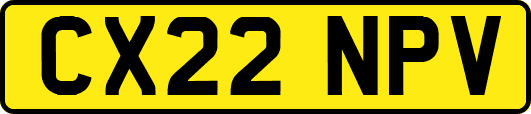 CX22NPV