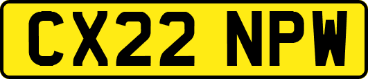 CX22NPW