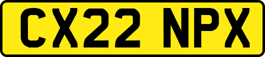 CX22NPX