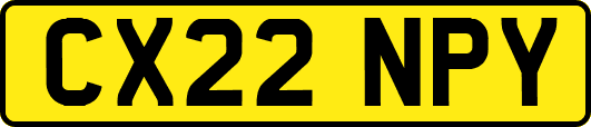 CX22NPY