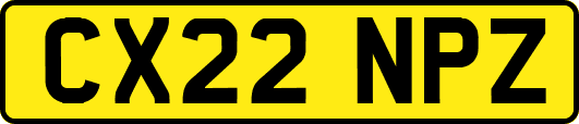 CX22NPZ