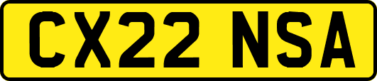 CX22NSA