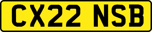 CX22NSB