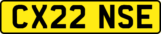 CX22NSE