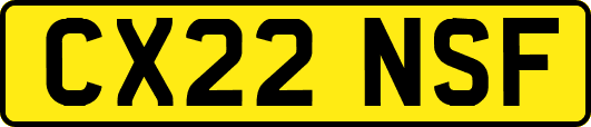CX22NSF