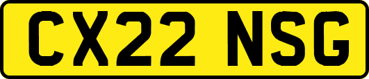 CX22NSG