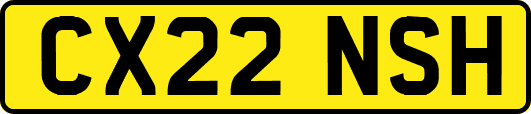 CX22NSH