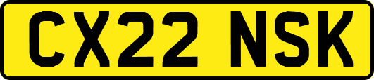 CX22NSK