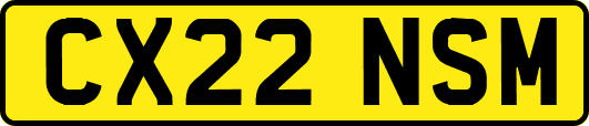 CX22NSM