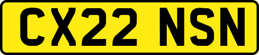 CX22NSN