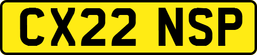 CX22NSP