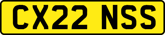 CX22NSS