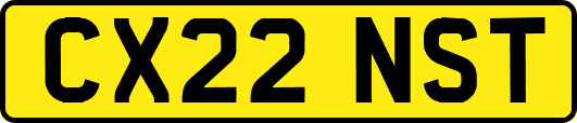 CX22NST