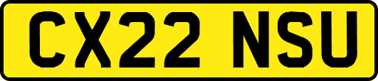 CX22NSU