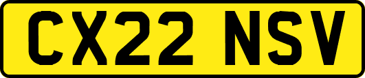 CX22NSV