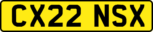 CX22NSX
