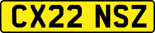 CX22NSZ