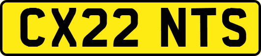 CX22NTS
