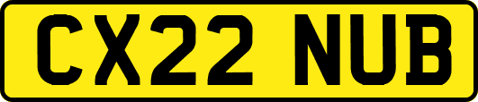 CX22NUB
