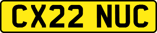 CX22NUC