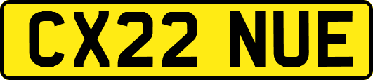 CX22NUE