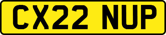 CX22NUP