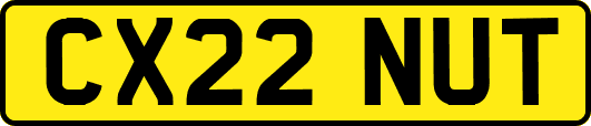 CX22NUT