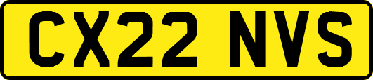 CX22NVS